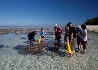 Lady Elliot Island Eco Resort Экстерьер фото